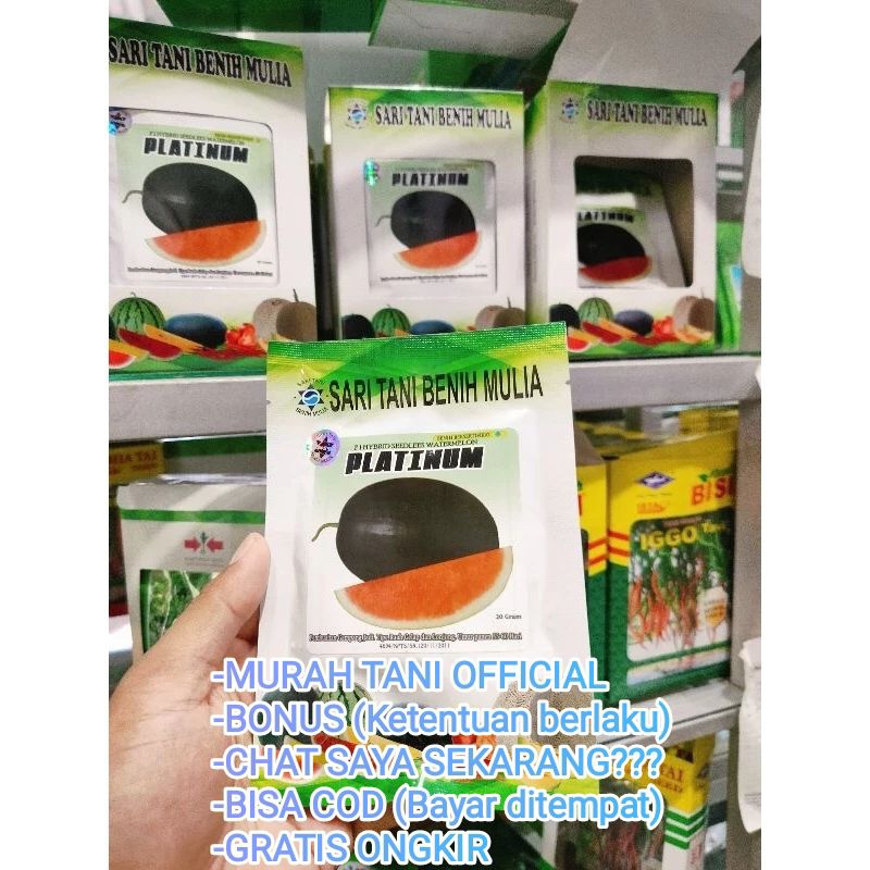 Benih Bibit Semangka Non biji Platinum F1. Tipe Lonjong Oval Kulit buah gelap seperti keluaran perta