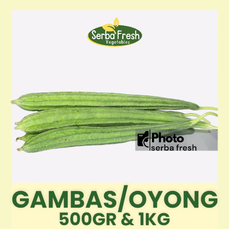 

GAMBAS OYONG | 500GR & 1KG | SERBA FRESH