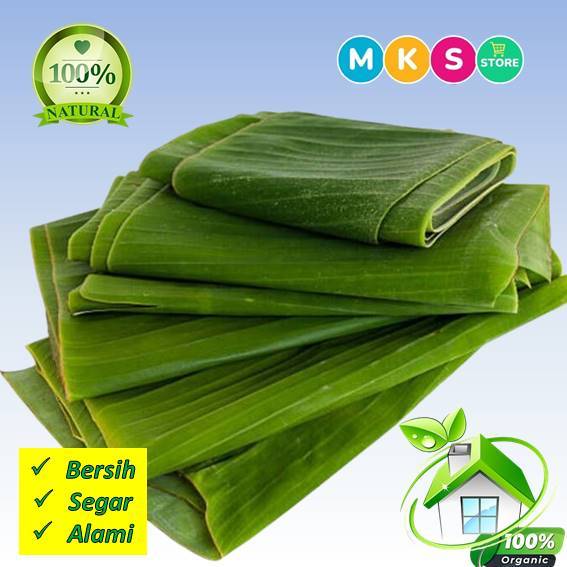 

Jual Daun Pisang per 1kg,pembungkus tempe,kue basah dan makanan lainya