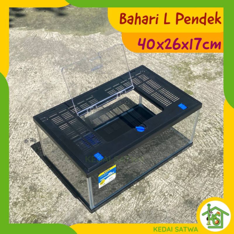 Aquarium Bahari L Tinggi Akuarium Bahari Semacam Nikita Gex L Kedai Satwa