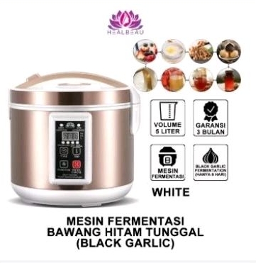 Black Garlic Fermenter Mesin Fermentasi Bawang Putih Tunggal
