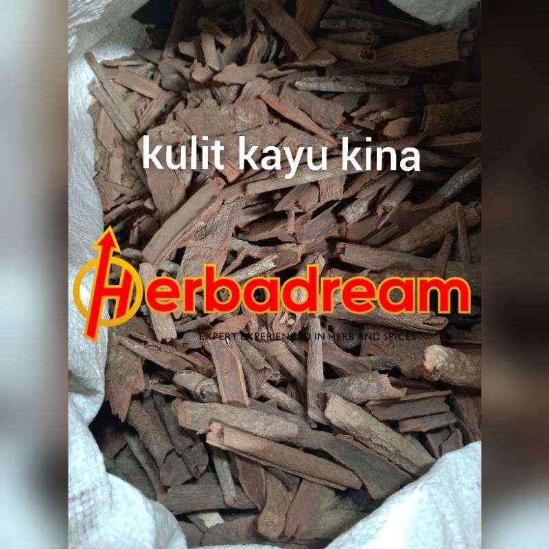 

50 GRAM KINA CINCHONA QUININE KUI NING SIMPLISIA KERING DRIED
