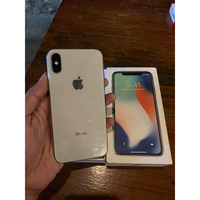 iPhone X 256