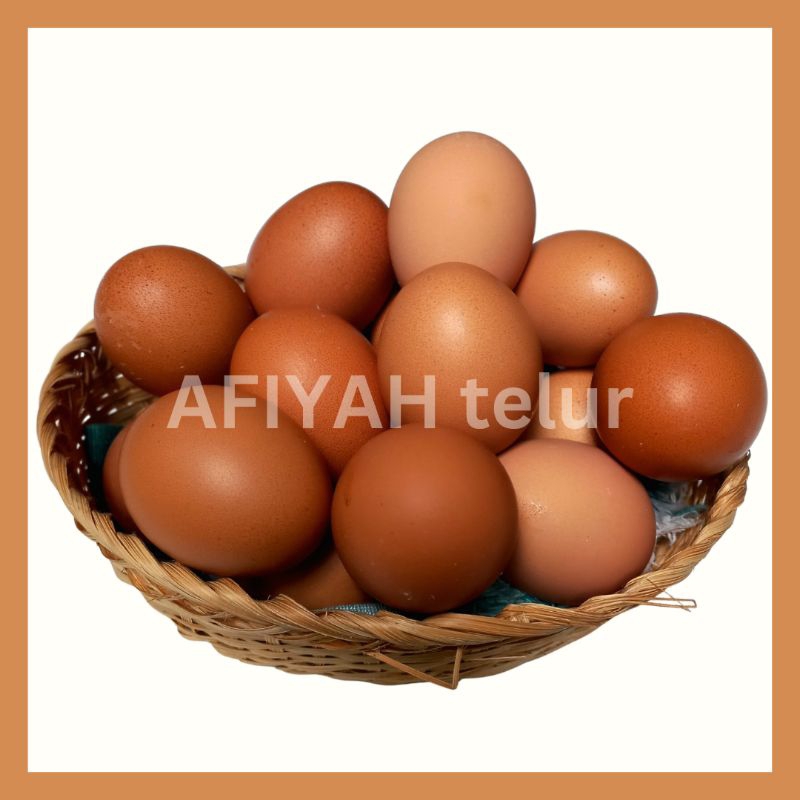 

telur ayam negeri 1kg - fresh - kualitas super