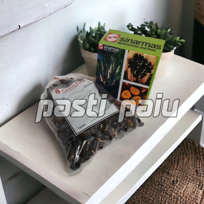 Bibit Sawit Unggul Dami Mas berkualitas