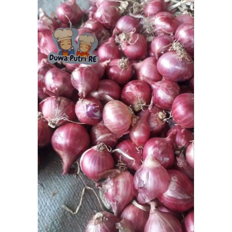 

bawang merah GARUT 5kg