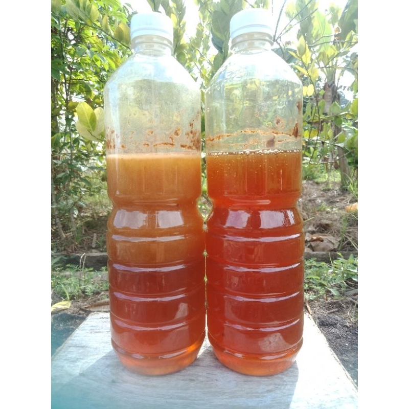 

MADU ASLI/ MADU HUTAN KALIMANTAN/ MADU HUTAN KAPUAS HULU/ MADU MURNI 100%./ BERAT BERSIH 1000 GRAM