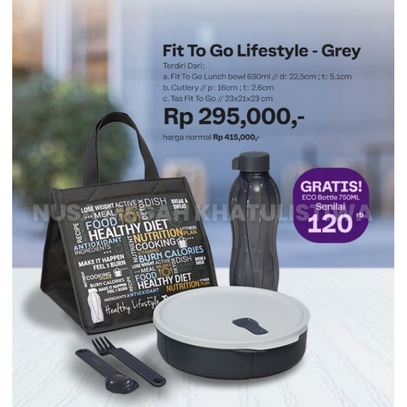 fit to go lunch set tupperware