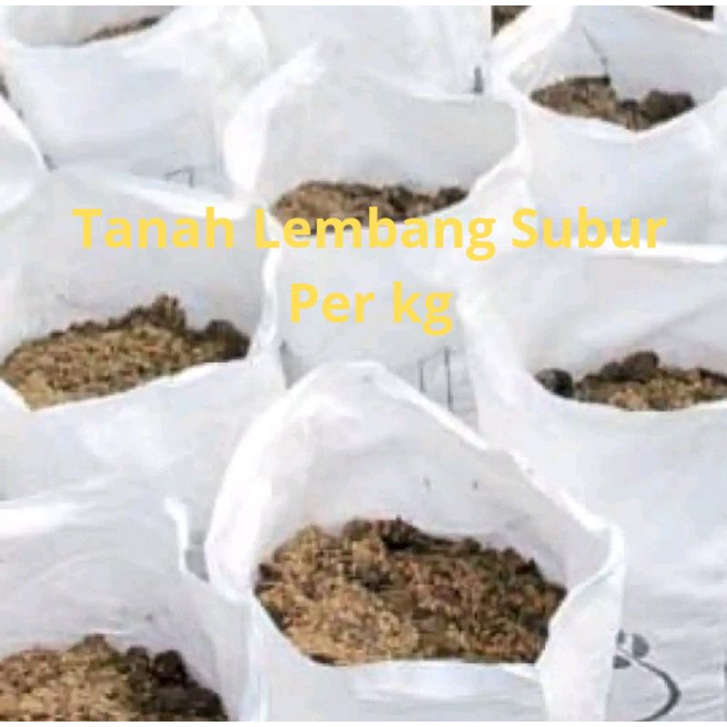 Tanah Lembang Murni Kiloan - Tanah Lembang Asli