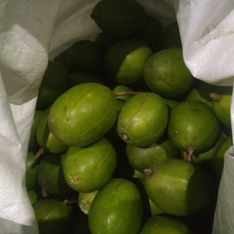 

kedondong segar ambil dari pohon