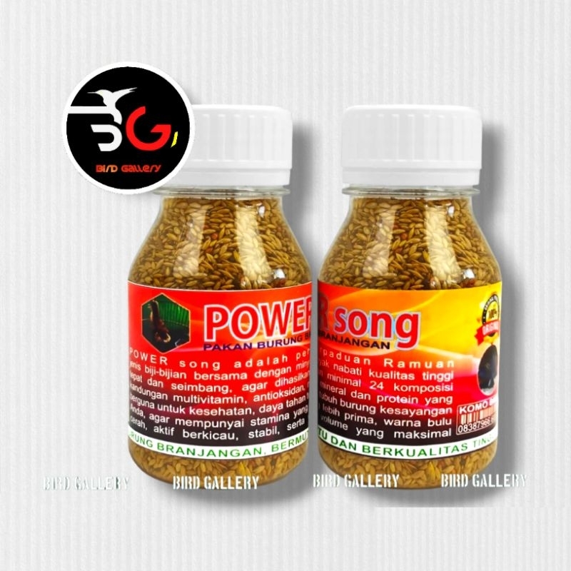 PAKAN POWER SONG PAKAN BURUNG BRANJANGAN VOER BRANJANGAN