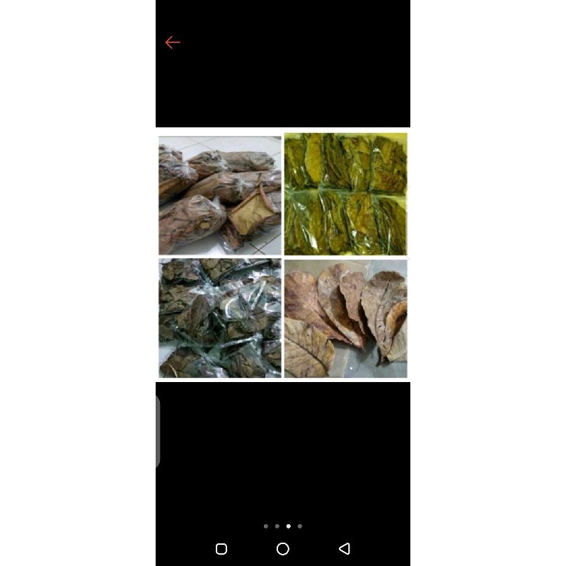 daun ketapang kering 200gram,daun ketapang laut beli 2 bonus cupang belurim