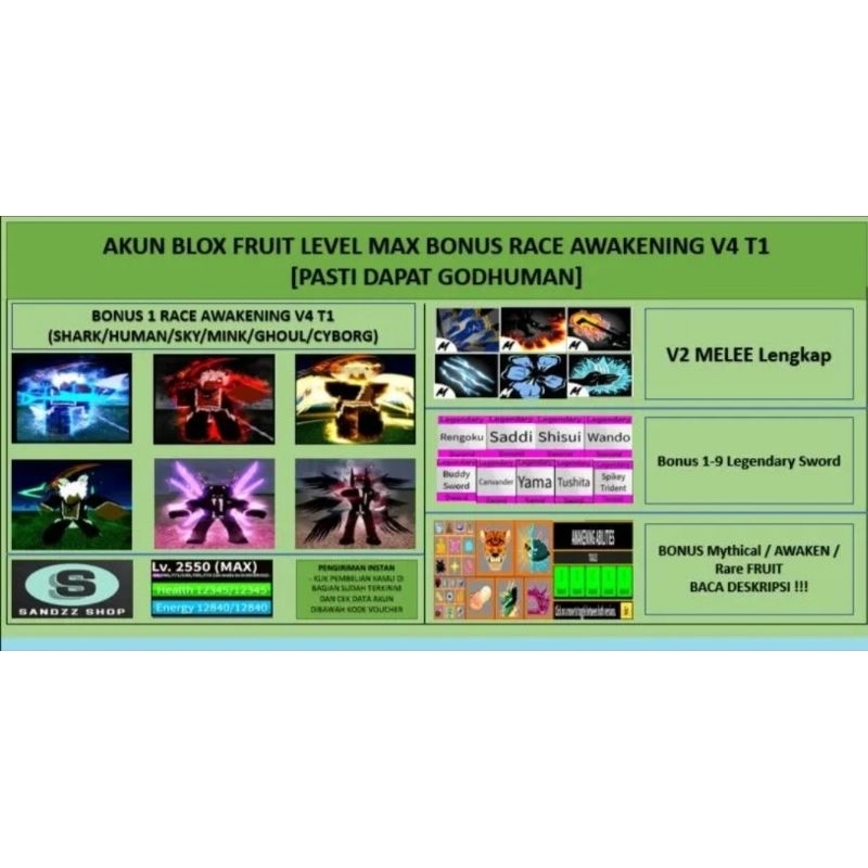 Akun Blox Fruit Level Max Bonus Race Awakening V4 T1 (Godhuman)