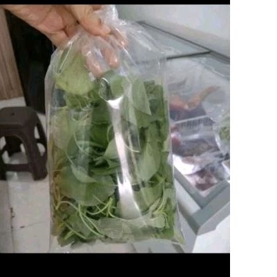 

Bayam petik