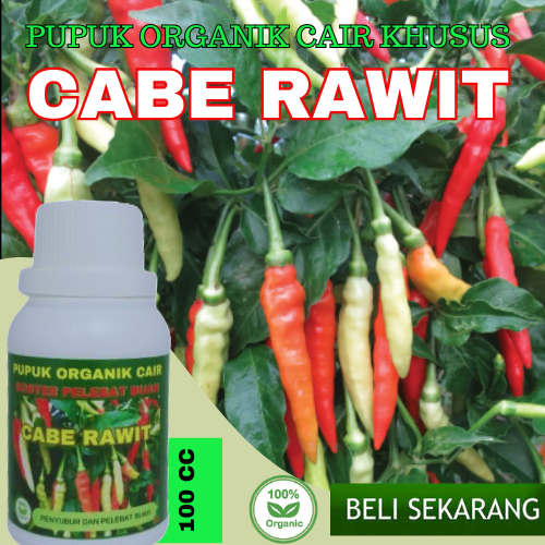 Pupuk Cabe Rawit Agar Berbuah Lebat/Booster Pelebat Cabai Rawit/Pupuk Organik Cabai Rawit/Obat  Cabe