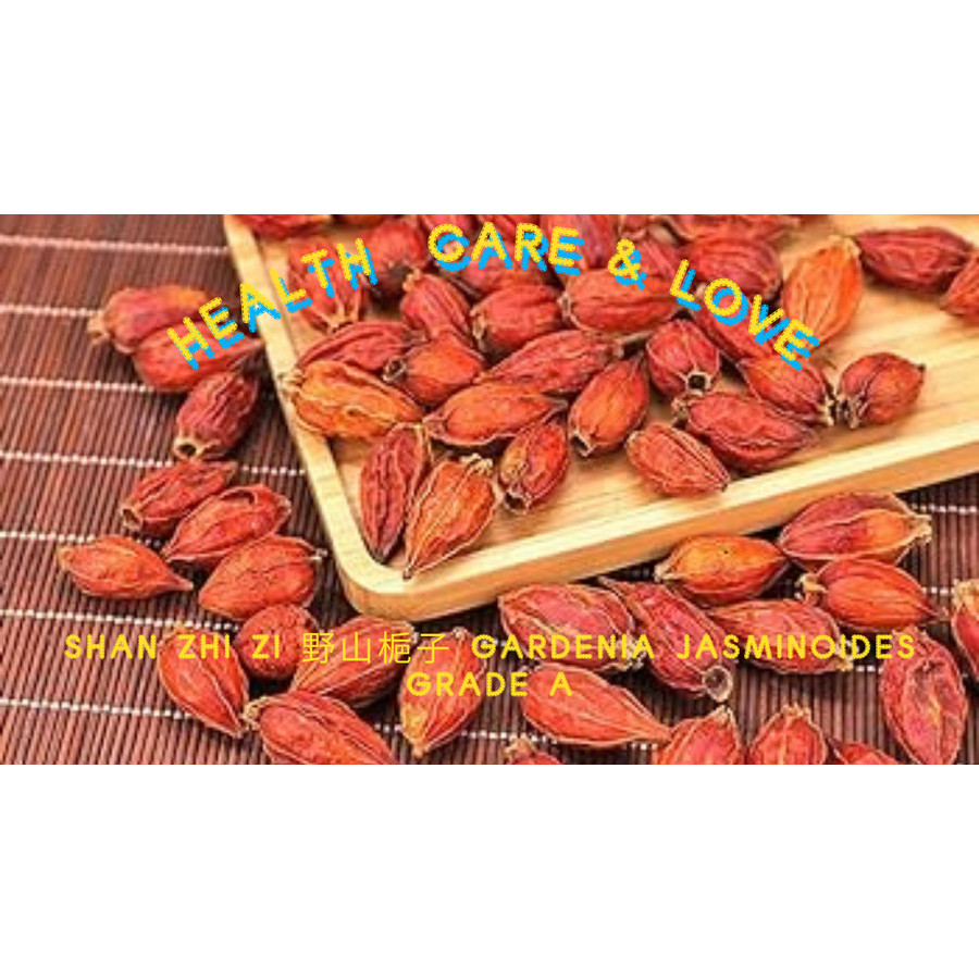

Shan Zhi Zi 野山梔子 Gardenia Jasminoides Grade A 50Gr