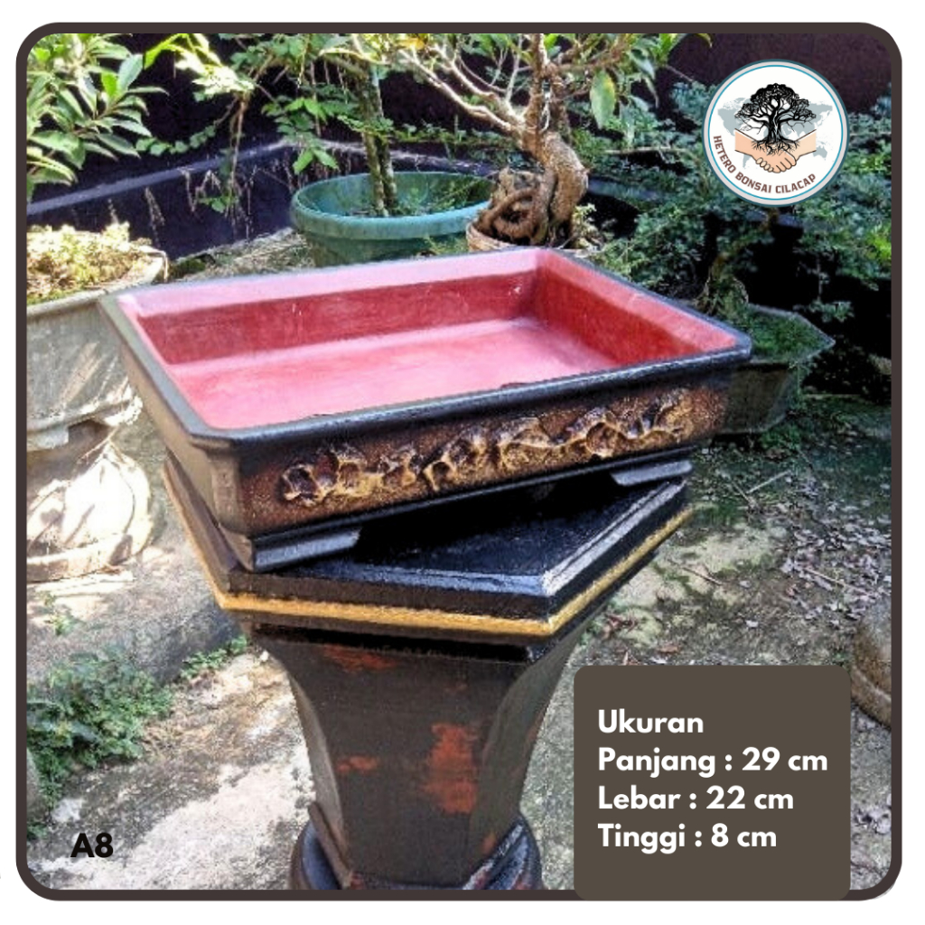 Pot Bonsai Kotak Relief The Max Pot Semen Original