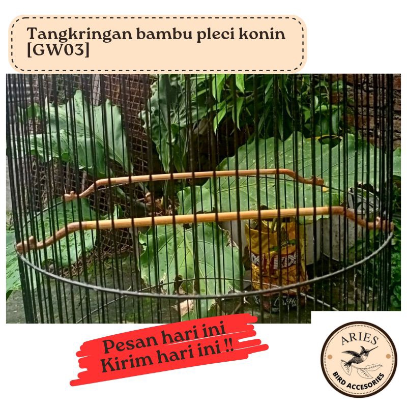 tangkringan bambu konin, pleci (GW03)