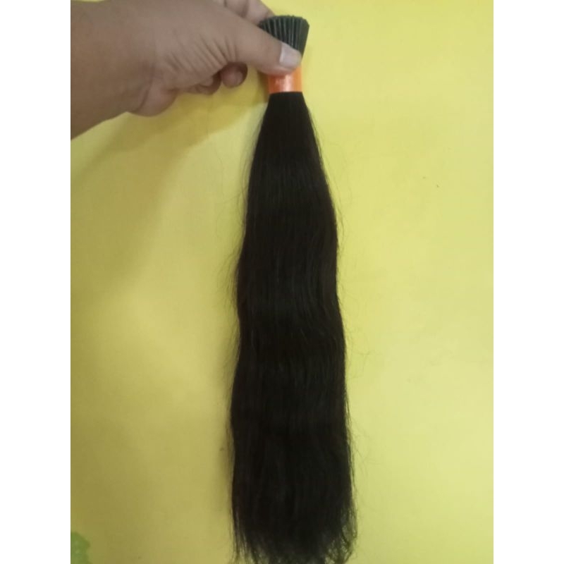 Rambut SAMBUNG ASLI