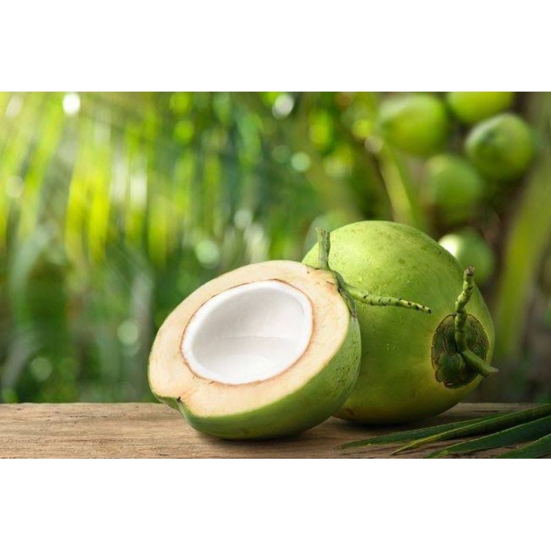 

Buah Kelapa Muda/ Kelapa Degan Utuh Segar Per 1pcs