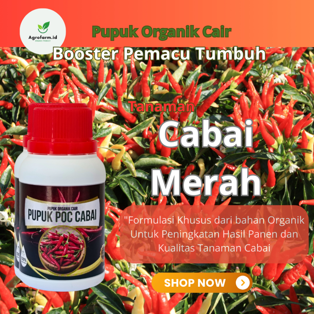 Pupuk Cair Tanaman Cabai Rawit /Pupuk Supeer Booster Pelebat Cabai Rawit /Obat Hormon Pembuahan Cabe