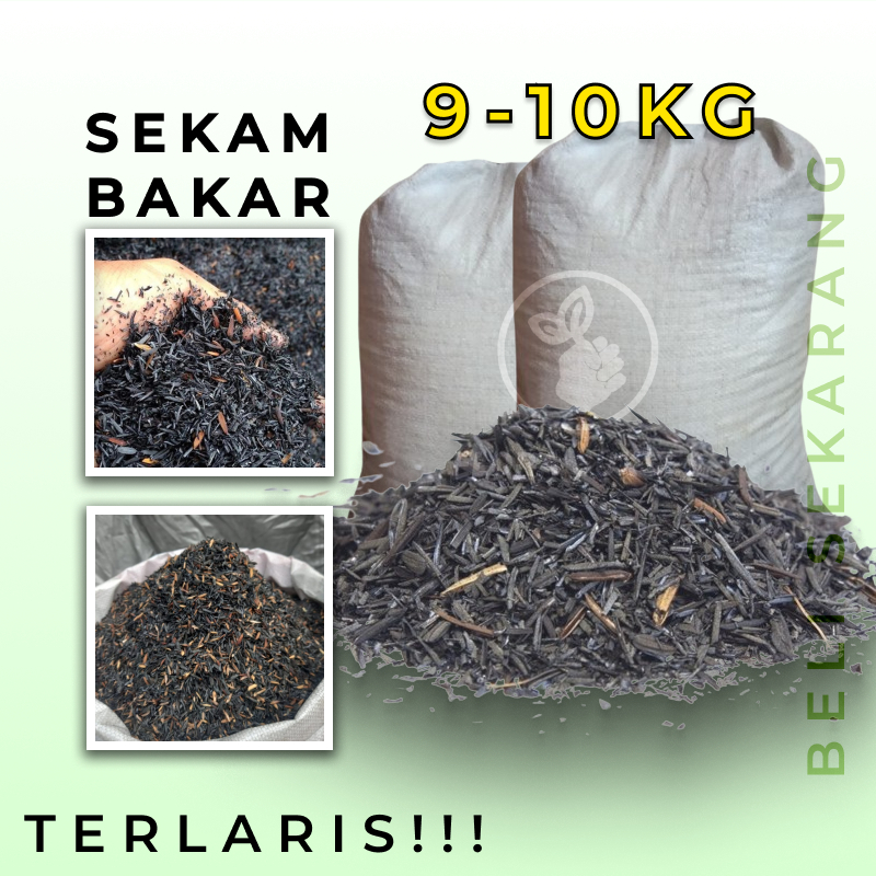 JUAL SEKAM BAKAR 1 KARUNG SEKAM BAKAR KARUNGAN KHUSUS INSTANT