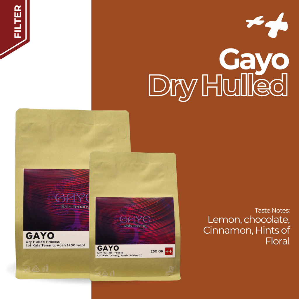 

Kopi Arabika Gayo Dry Hulled 250gr Biji Kopi Premium Bubuk Beans
