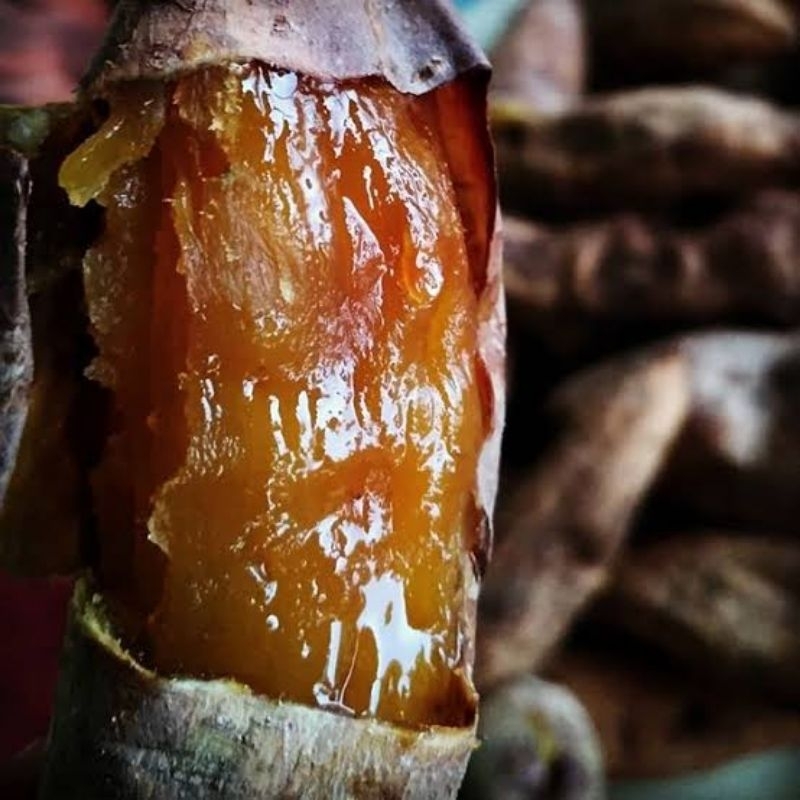 

UBI MADU BAKAR CILEUMBU MATANG 1kg