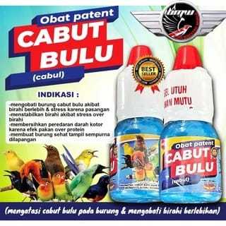 CABUL CABUT BULU TUNTAS BMW OBAT PATEN VITAMIN MENGOBATI MASALAH BURUNG CIAK BULU CABUT BULU EFEK OV