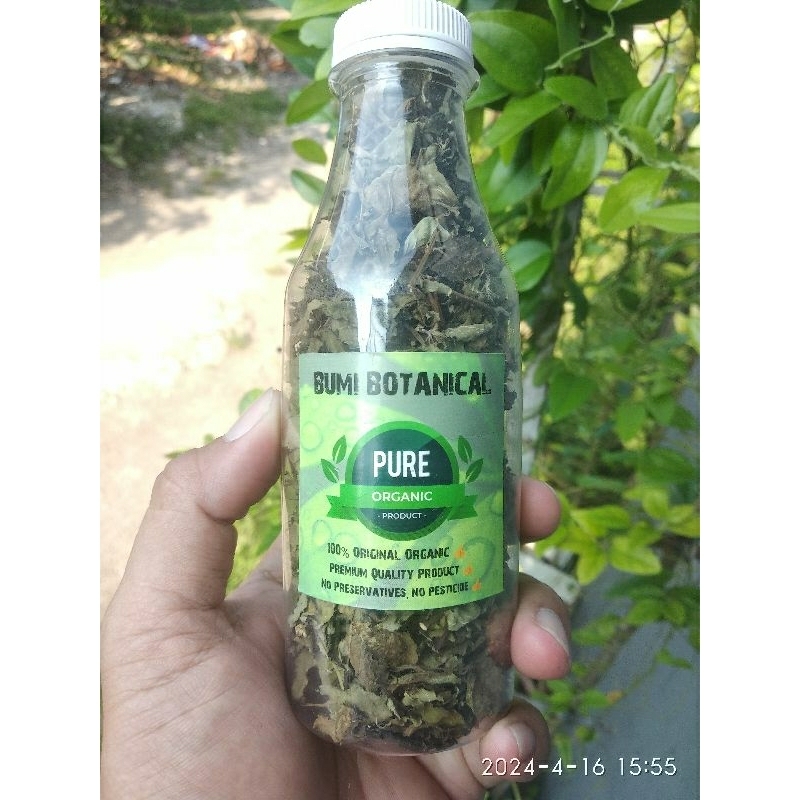 

teh kering daun Afrika daun klorofil herbal 15 gram