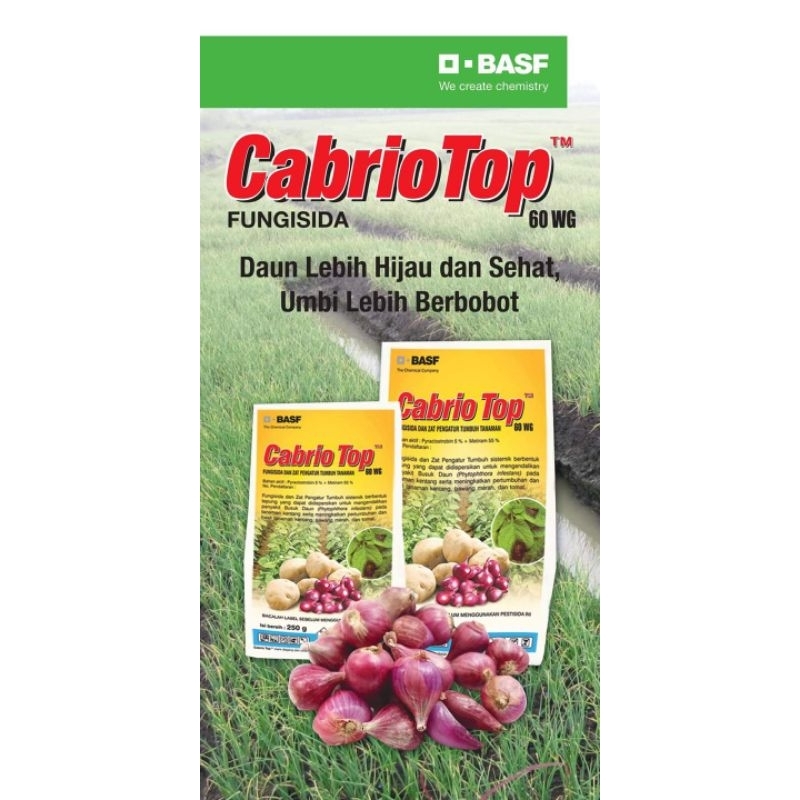 CABRIO TOP 60 WG 500 gram Fungisida Sistemik