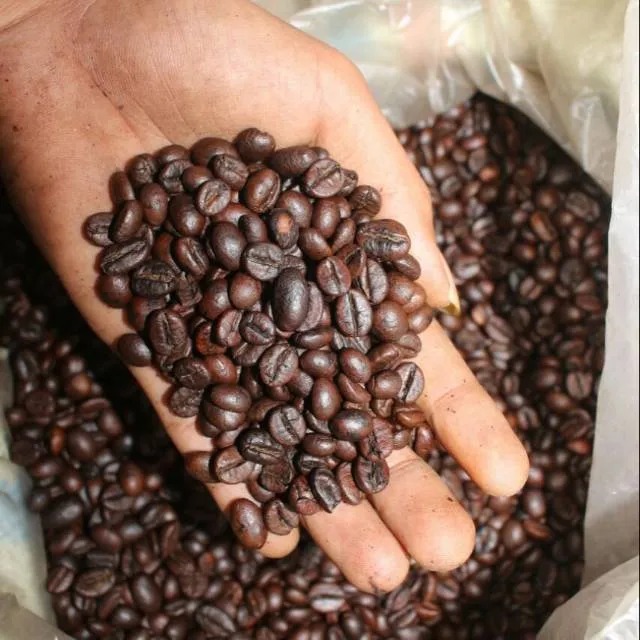 

( 500gram ) Biji Kopi Hitam Sudah Sangrai Berkualitas Unggul