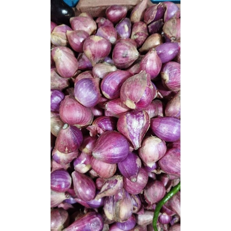 

Bawang merah
