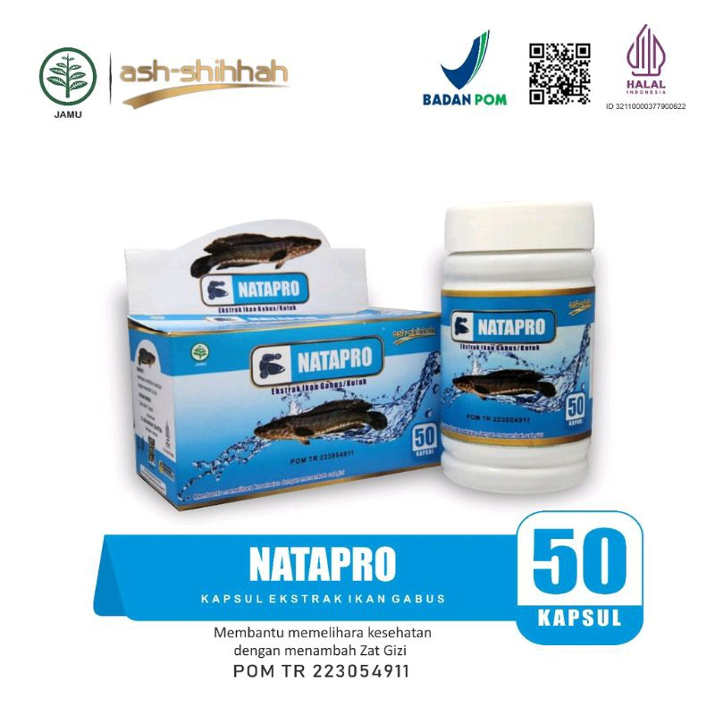 Pro Albumin Ash-Shihhah Kapsul Ekstrak Ikan Gabus / SAH Ekstrak Albumin Ikan Gabus 60 Kapsul / Azzay