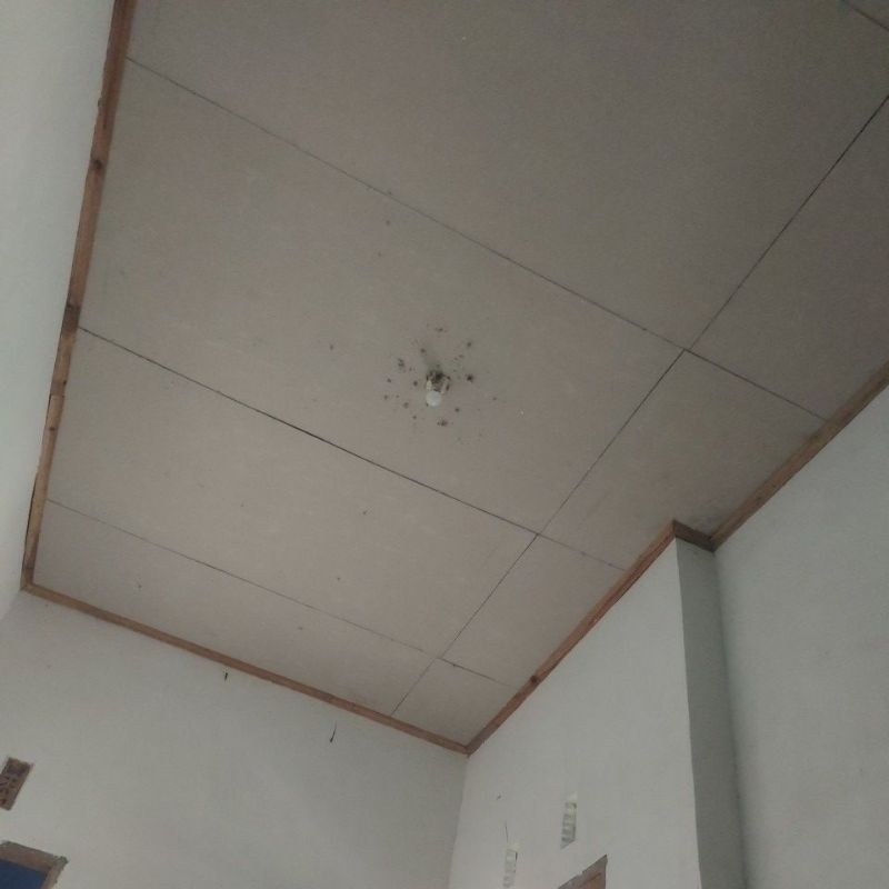 

habis