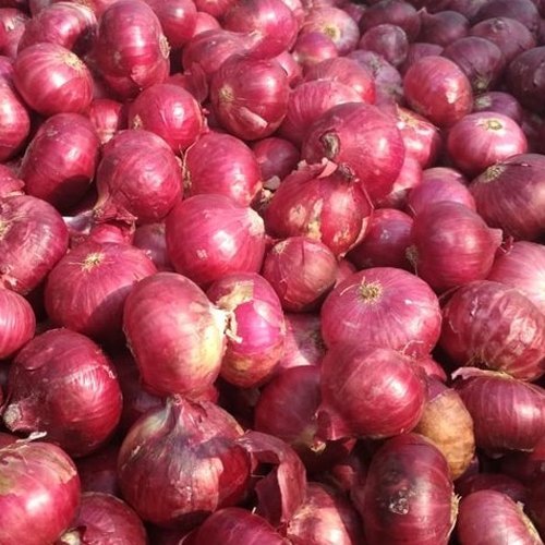 

bawang merah lokal bali karet super 1 kg