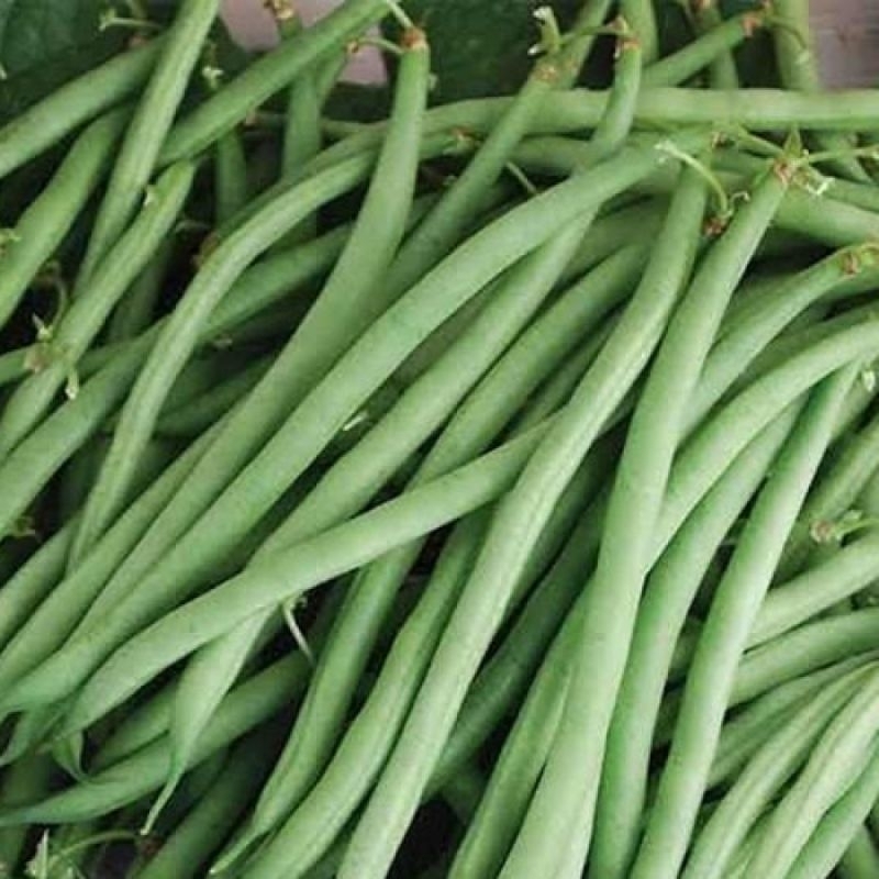 

buncis 250 gram