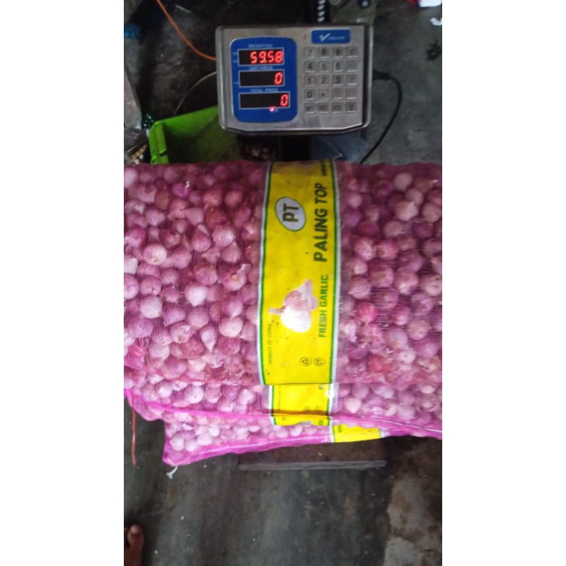 

bawang putih tunggall ukuran tangung 1kg