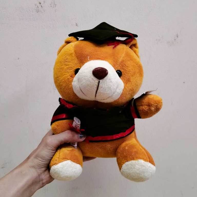 Dreamtoys96 Boneka Wisuda Boneka Beruang Toga Buket Bunga Wisuda 8