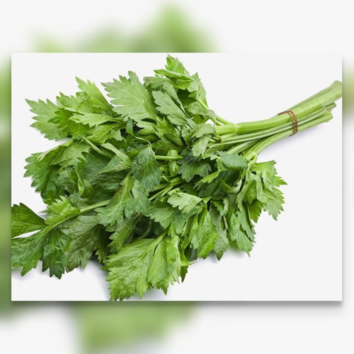 

Daun Seledri Segar Local Celery Leaves 100 gr