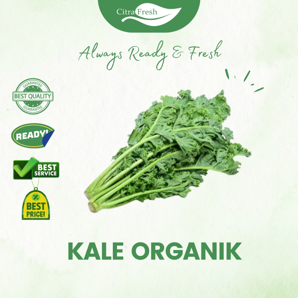 

CITRA FRESH - Kale Organik 200 Gram - Selalu Ready dan Fresh