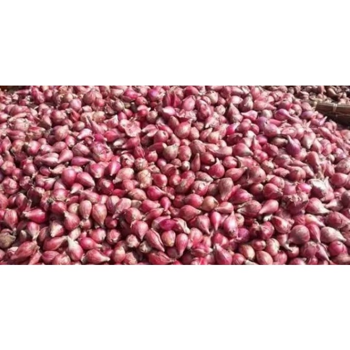 

bawang merah berebes 250 gram