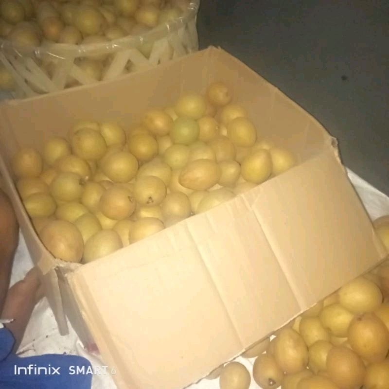 

sawo pangandaran manis banget buah bandung