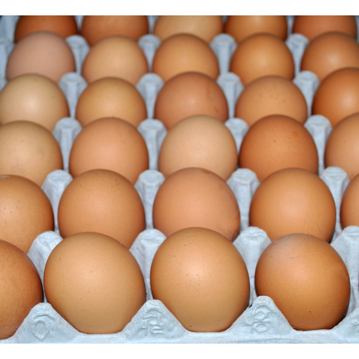 

Telur Ayam Negeri KECIL Segar Pilihan