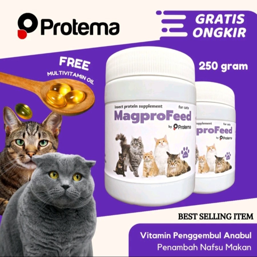 MAGPRO FEED SUPLEMEN KUCING 250 GRAM SUPLEMEN PENGGEMUK KUCING