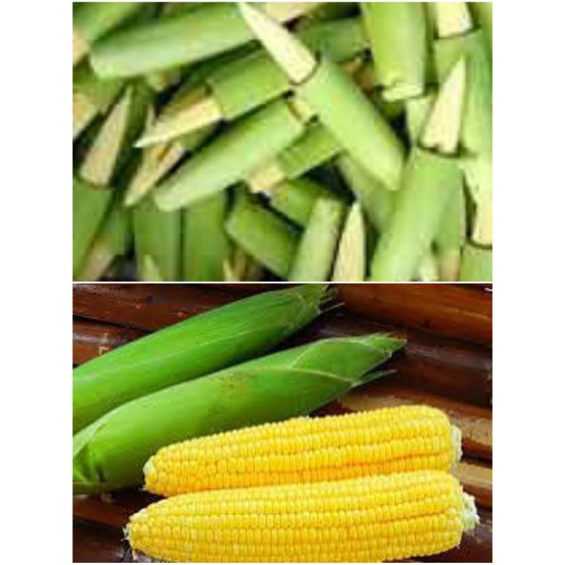 

Jagung manis harga 1pcs,sama 2pcs