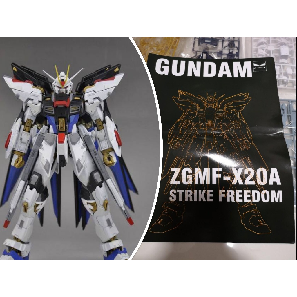 MG Strike Freedom Gundam Conversion Kit