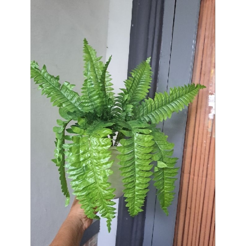 daun pakis boston artificial berikut pot dinding /hiasan dinding