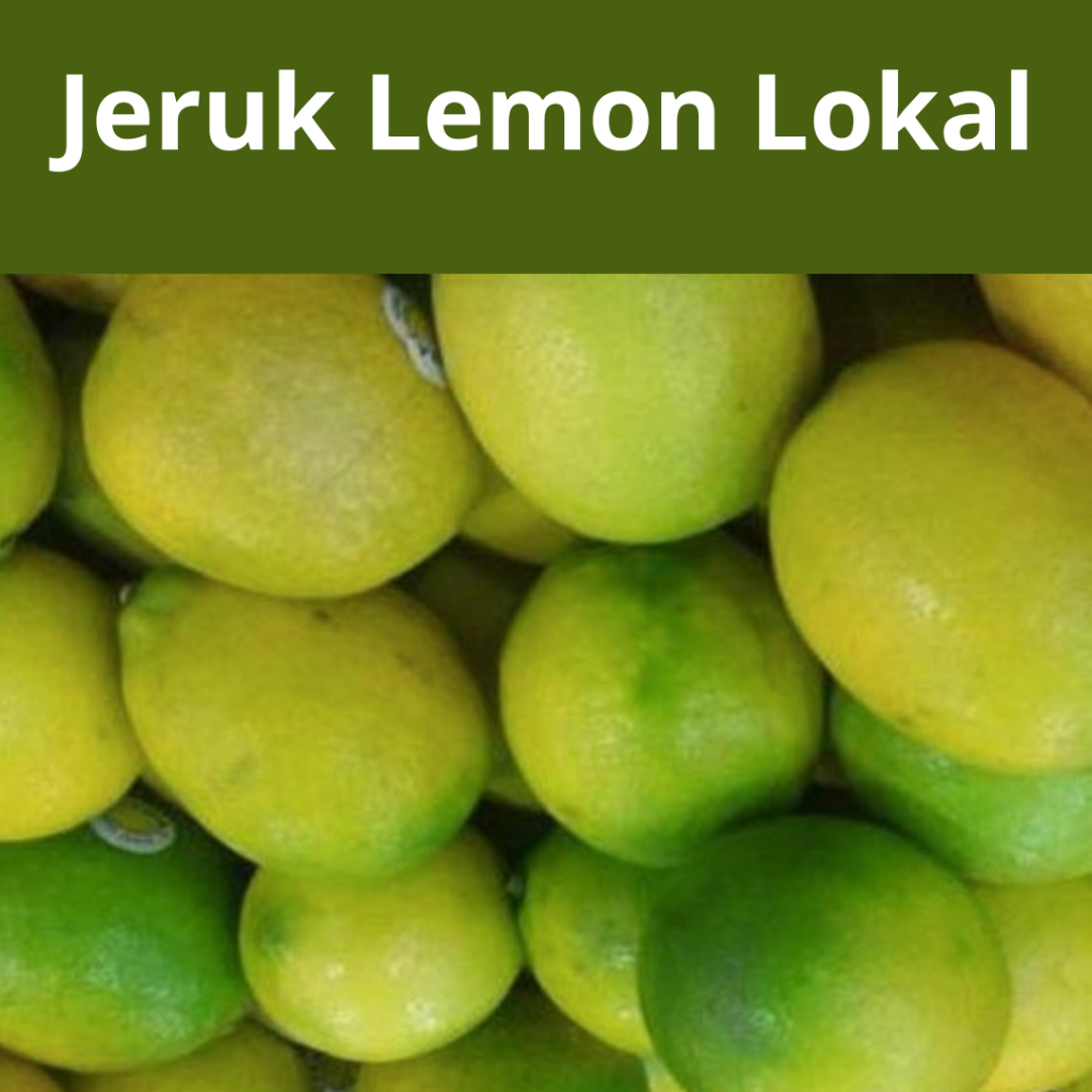 

Jeruk Lemon Lokal | Jeruk Lemon Kualitas | Jeruk Lemon Murah