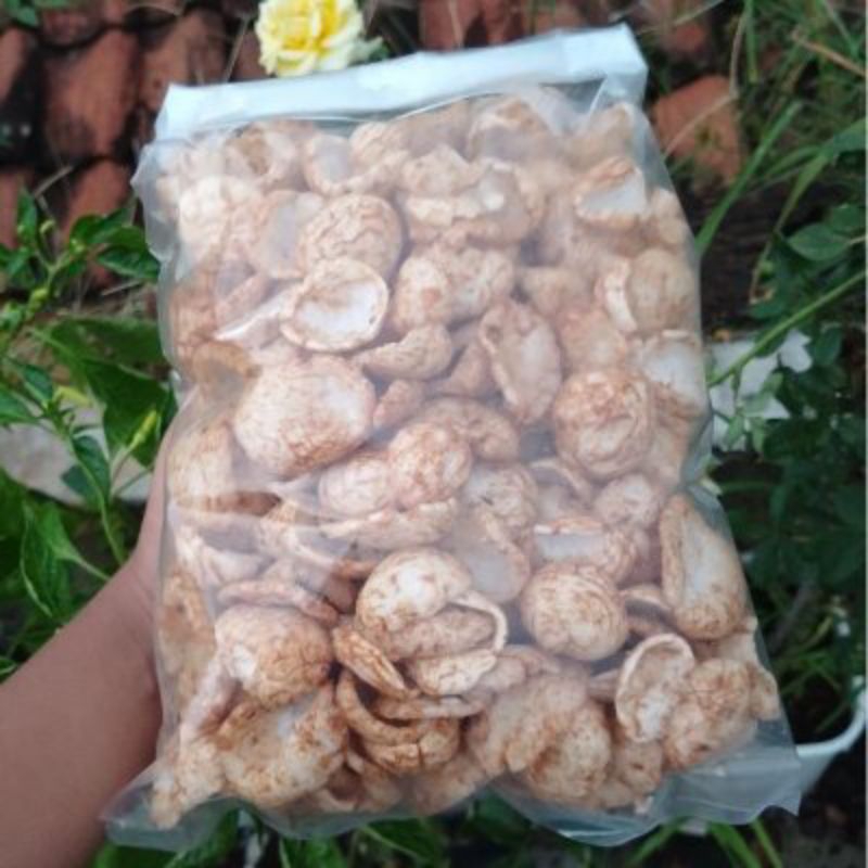 

krupuk antor glopot tegal